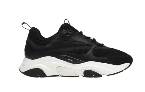 Dior B22