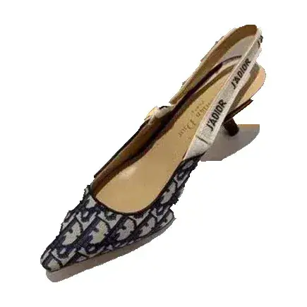 Dior High Heels