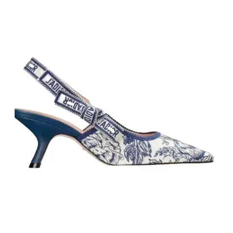 Dior High Heels